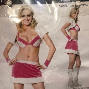 Mistletoe Mistresscostume. 
pink velvet bra, trimmed with sequins and fur-skirt